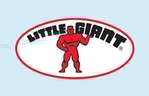 Little Giant
